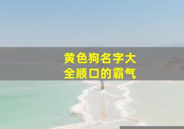 黄色狗名字大全顺口的霸气,黄色狗狗好听顺口名字