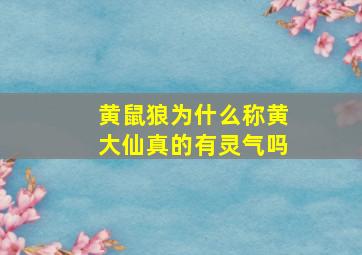 黄鼠狼为什么称黄大仙真的有灵气吗,传说中黄鼠狼是大仙是否真有此事