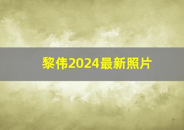 黎伟2024最新照片,黎伟2017图片