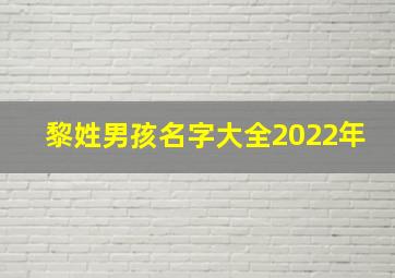 黎姓男孩名字大全2022年,黎姓取名