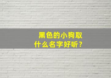 黑色的小狗取什么名字好听？,黑色的小狗取什么名字好听男