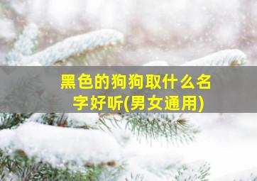 黑色的狗狗取什么名字好听(男女通用),黑色的狗狗起名字大全