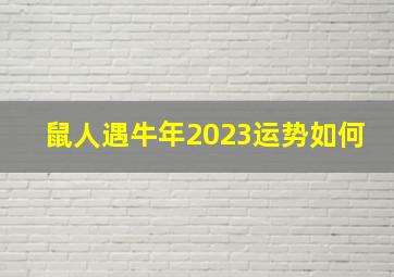 鼠人遇牛年2023运势如何