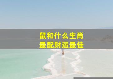 鼠和什么生肖最配财运最佳,老鼠的六个合属相