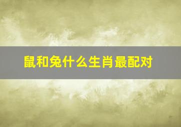 鼠和兔什么生肖最配对,鼠和兔属相合不合适