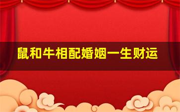 鼠和牛相配婚姻一生财运,鼠和牛相配婚姻一生财运好吗