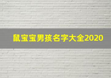 鼠宝宝男孩名字大全2020,鼠宝宝取名大全2020款男孩带寓意