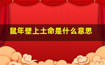 鼠年壁上土命是什么意思,2024鼠壁上土命是什么意思