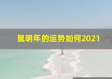 鼠明年的运势如何2021,2021年属鼠人的全年运势属鼠2021年运势及每月运程