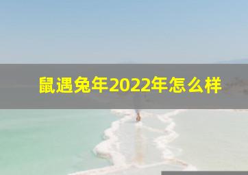 鼠遇兔年2022年怎么样,鼠人遇兔年