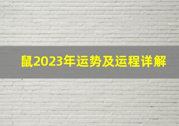 鼠2023年运势及运程详解,2023年属鼠人的全年运势如何