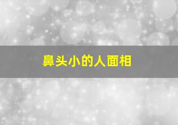 鼻头小的人面相