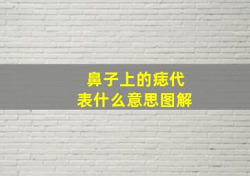 鼻子上的痣代表什么意思图解,鼻子上的痣代表什么意思图解女