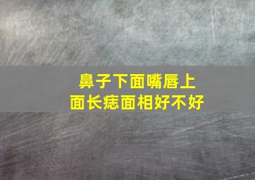 鼻子下面嘴唇上面长痣面相好不好,鼻子下面嘴唇上面有痣是好是坏?