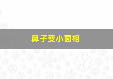 鼻子变小面相