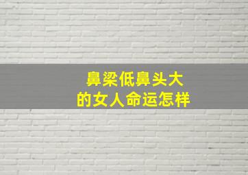 鼻梁低鼻头大的女人命运怎样