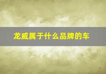 龙威属于什么品牌的车,龙威是哪里的车