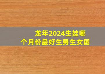 龙年2024生娃哪个月份最好生男生女图