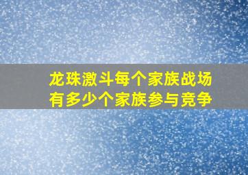 龙珠激斗每个家族战场有多少个家族参与竞争,龙珠激斗家族个人物资是什么