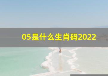 05是什么生肖码2022,05属什么