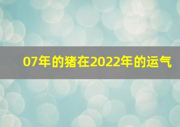 07年的猪在2022年的运气