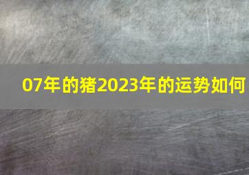 07年的猪2023年的运势如何,07年属猪的2023年有一劫安康情况要留意