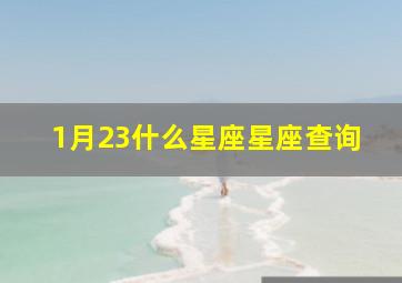 1月23什么星座星座查询,1月23 日是什么星座