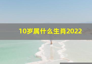 10岁属什么生肖2022,<body>