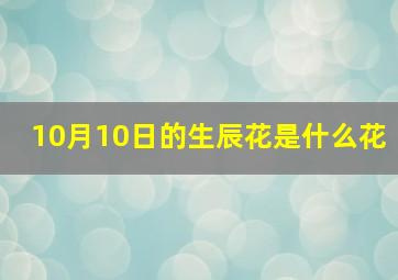 10月10日的生辰花是什么花,10月10日的生辰花是什么花呢