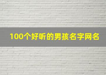 100个好听的男孩名字网名,超好听的男孩名字大全网名