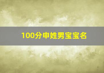 100分申姓男宝宝名