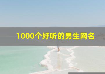 1000个好听的男生网名,1000个好听的男生网名英文