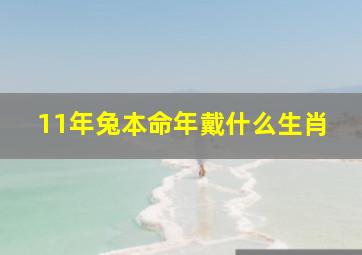 11年兔本命年戴什么生肖,11年属兔的