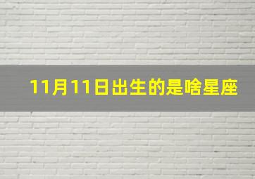 11月11日出生的是啥星座,1993年11月11日是什么星座