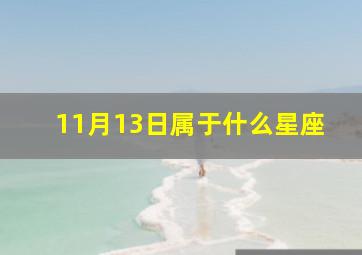 11月13日属于什么星座,11月13日是什么星座