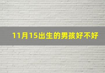 11月15出生的男孩好不好,2013年11月15日凌晨4点出生的男孩八字好不好缺什么