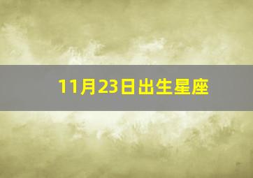 11月23日出生星座,11月23日出生是啥星座