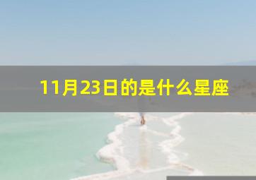 11月23日的是什么星座,11月23日是什么星座11月23日生日是什么星座