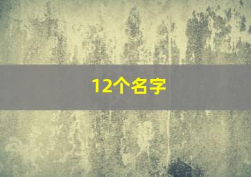 12个名字,十二个名字