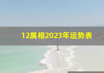 12属相2023年运势表,2023年十二生肖周运26-212