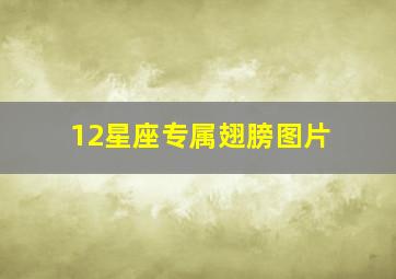 12星座专属翅膀图片,求十二星座的守护花、守护神