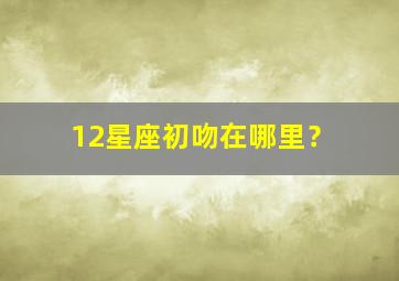 12星座初吻在哪里？