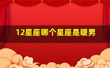 12星座哪个星座是暖男,十二星座中谁是暖男