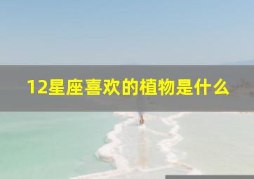 12星座喜欢的植物是什么