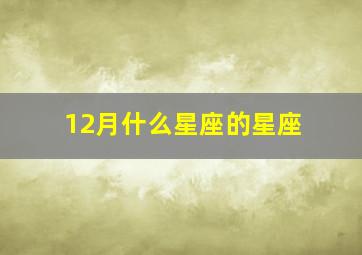 12月什么星座的星座,12月份什么星座