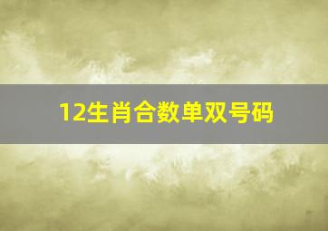 12生肖合数单双号码,十二生肖最合属相