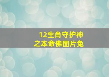 12生肖守护神之本命佛图片兔,属兔的本命佛是哪尊佛图片