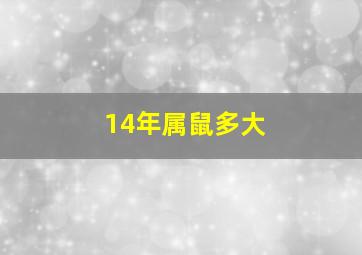 14年属鼠多大,老鼠今年多大20212021年属鼠的人今年几岁