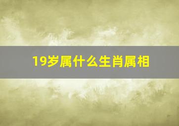 19岁属什么生肖属相,2023年19岁属什么的生肖