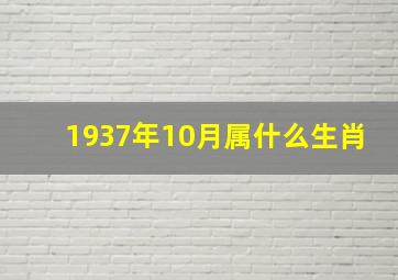 1937年10月属什么生肖,1937年属什么生肖